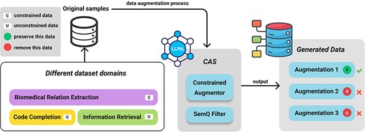 Overview of the CAS constrained data augmentation and semantic filtering framework