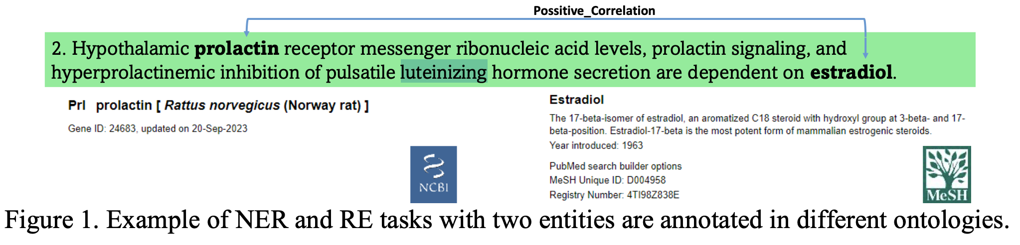 Example of named entity recognition and relation extraction between prolactin receptor and estradiol